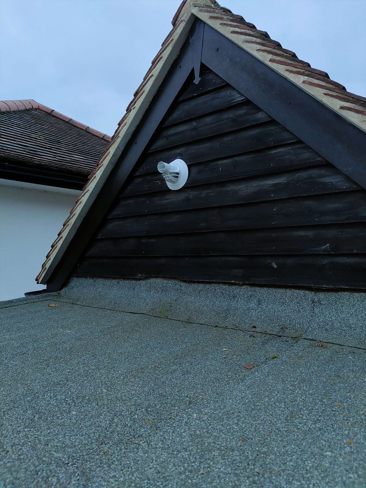 WhatsApp Image 2024-12-24 at 02.22.00_912d843