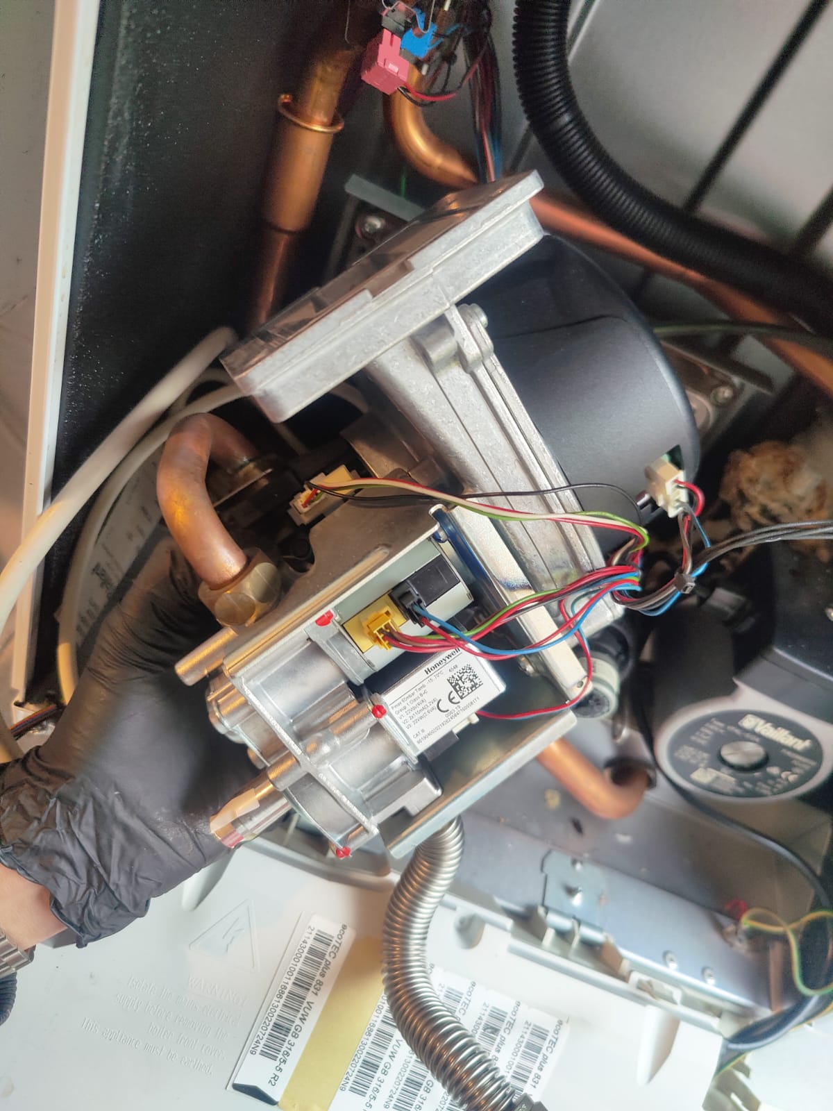 WhatsApp Image 2024-12-24 at 02.43.45_58b72663