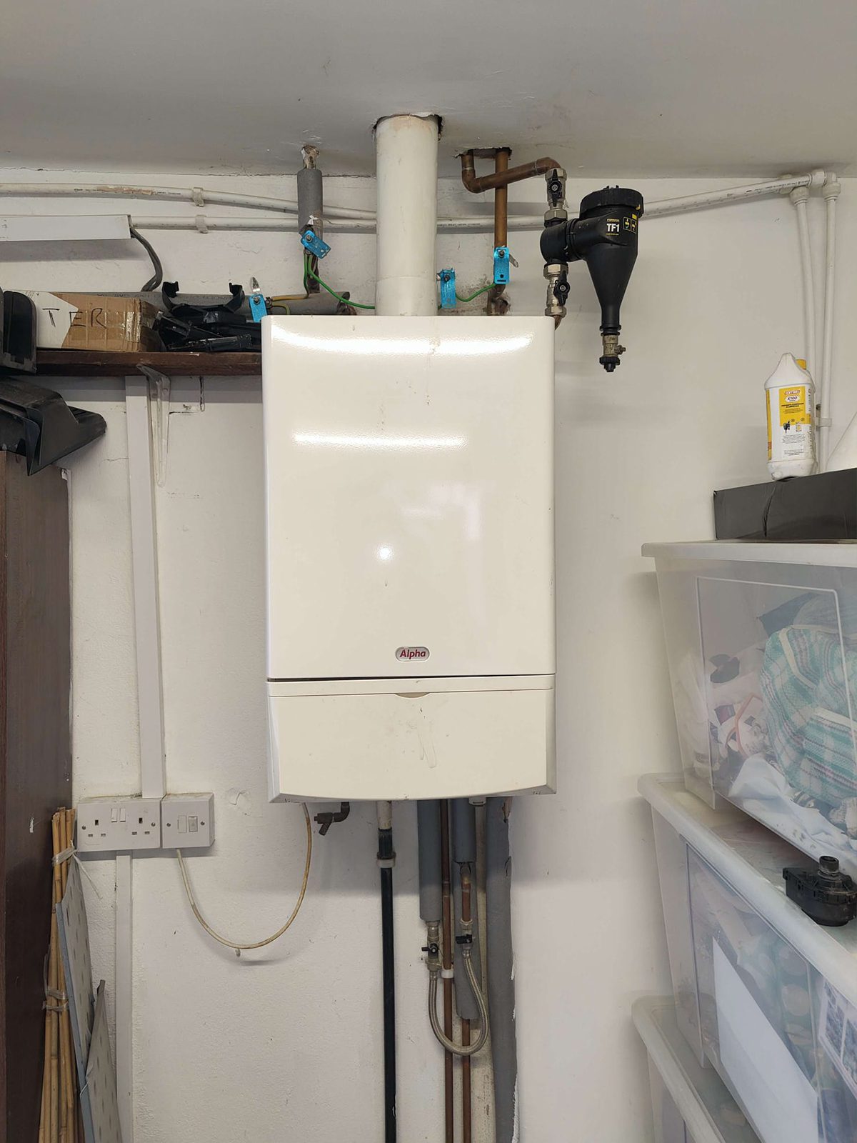 WhatsApp Image 2024-12-24 at